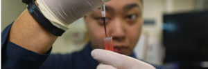 : Phlebotomy class near me